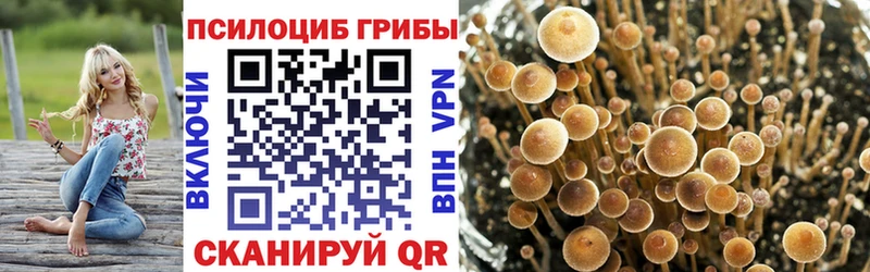 Галлюциногенные грибы GOLDEN TEACHER что такое наркотик Ленинск